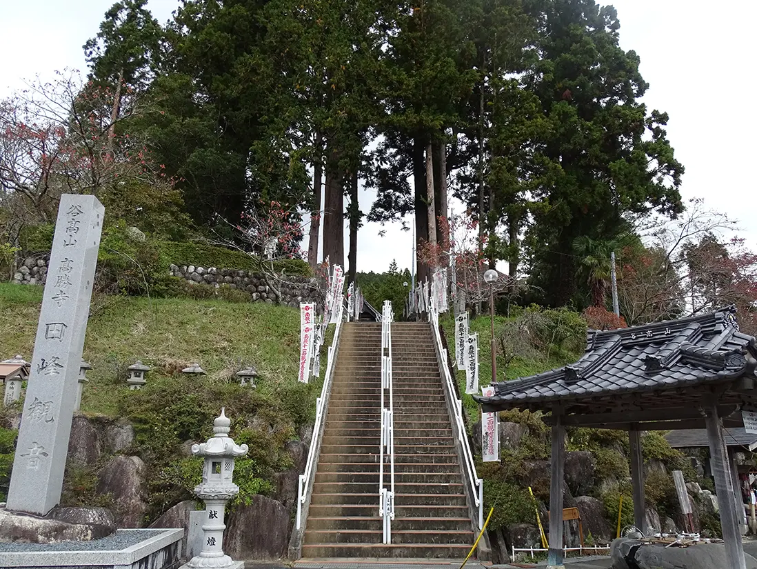 新城市 新城市観光協会　パンヤモギ（6:10～9：00)