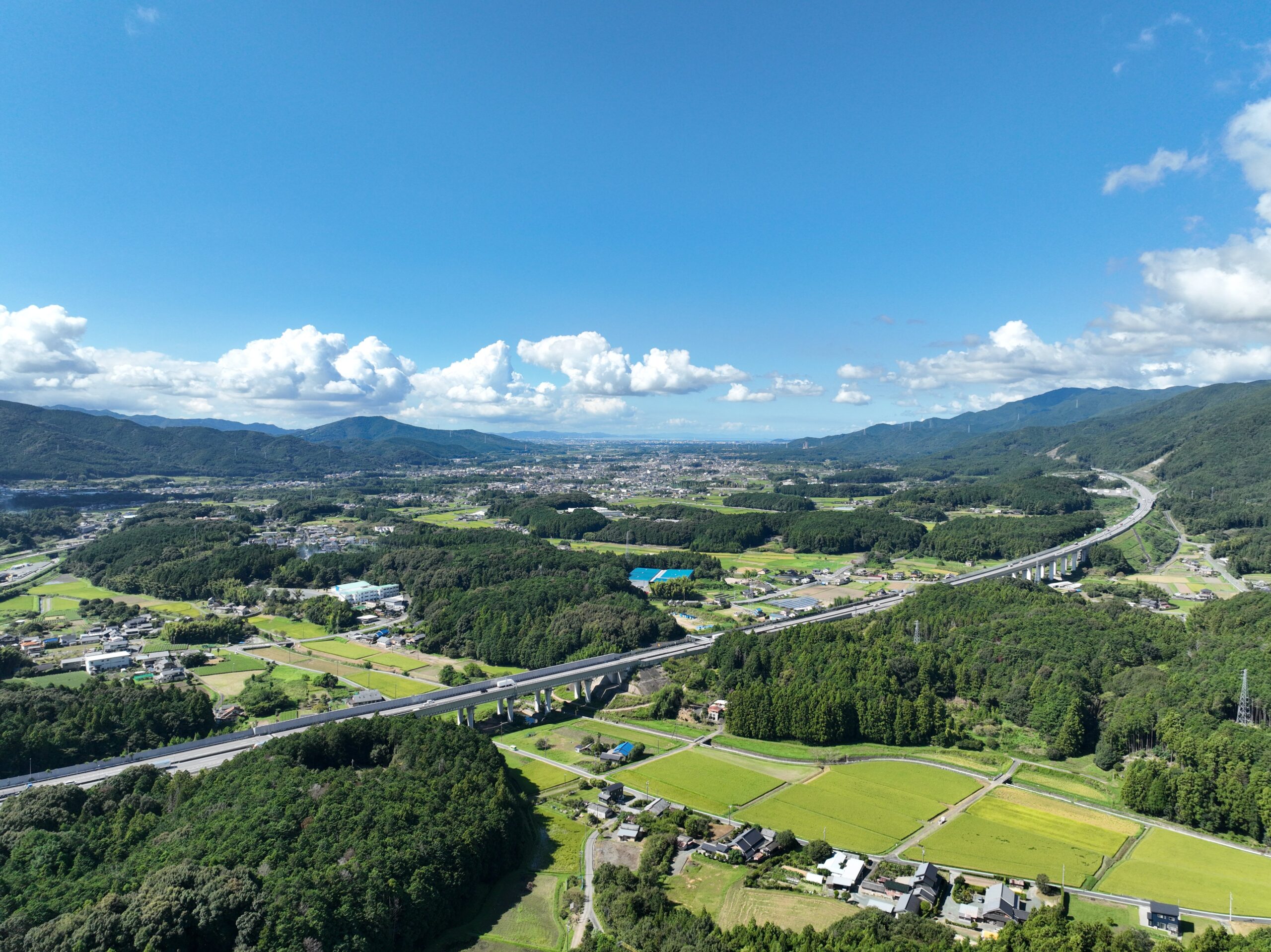 新城市 新城市観光協会　パンヤモギ（6:10～9：00)