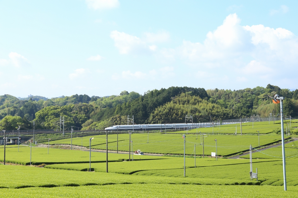 菊川市観光協会
